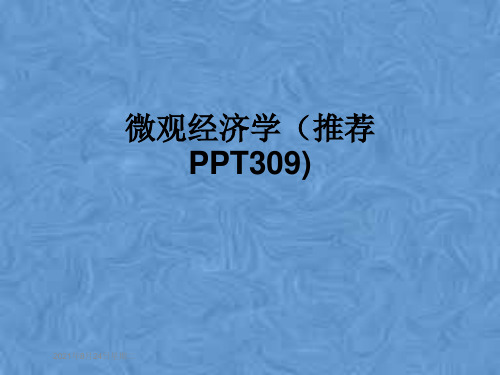 微观经济学(推荐PPT309)