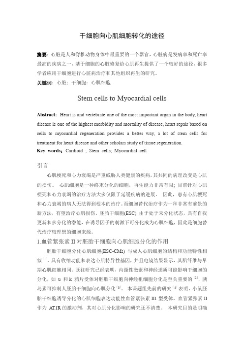 干细胞向心肌细胞转化的途径