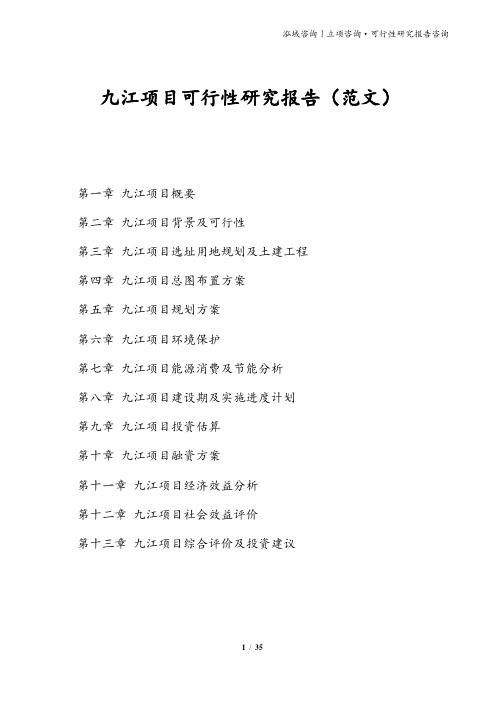 九江项目可行性研究报告(范文)