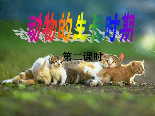 浙教版科学七年级下册1.3动物的生长时期(第二课时)