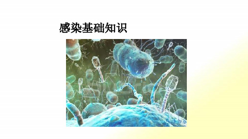 感染学基础知识