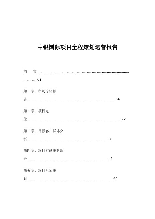 国际某项目全程策划运营报告