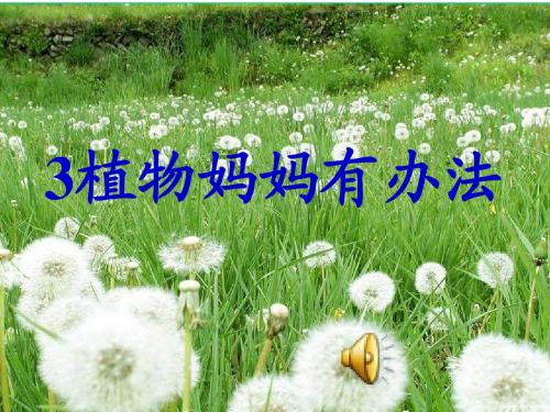 3植物妈妈有办法