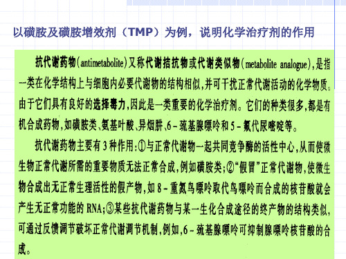 磺胺