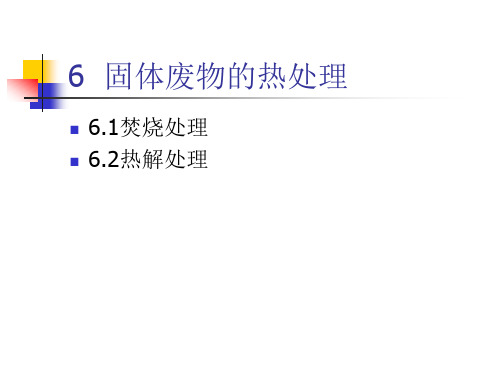 6 可燃固体废物的热处