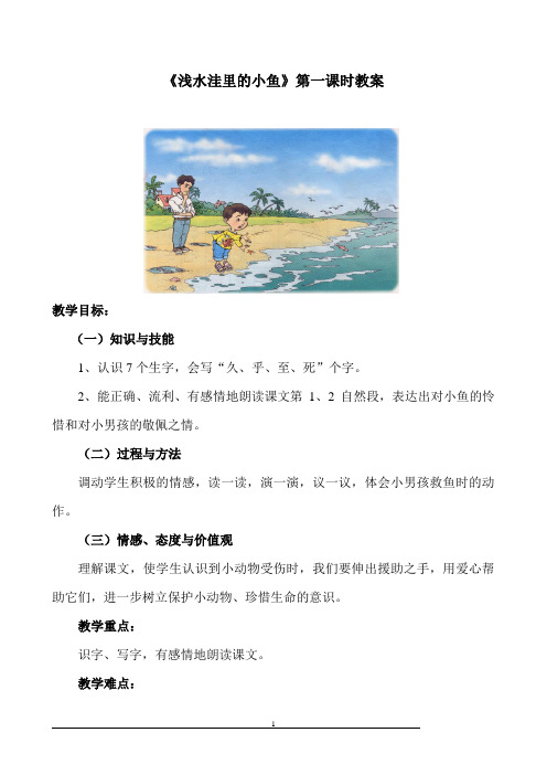 《浅水洼里的小鱼》第一课时教案