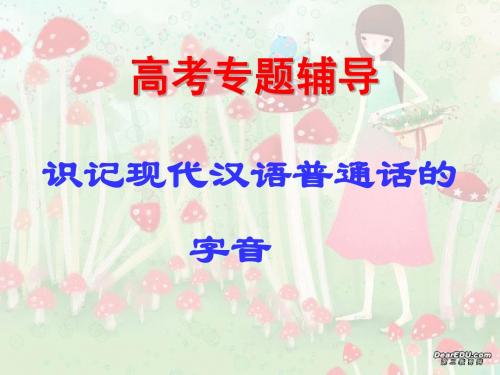 字音归纳授课