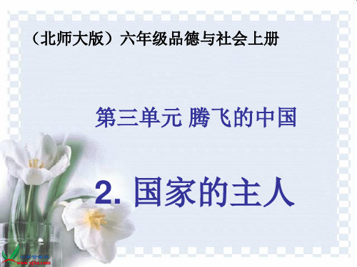 北师大版小学品德六年级品德与社会上册课件国家的主人-假如我是人民代表