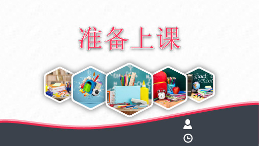 四年级科学上册《分类》课件(公开课)