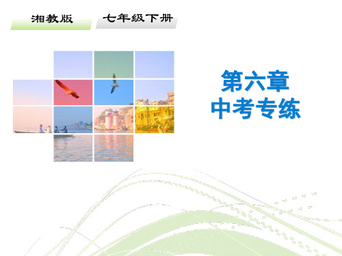 第六章 认识大洲中考专练-2020春湘教版七年级下册地理课件(共28张PPT)
