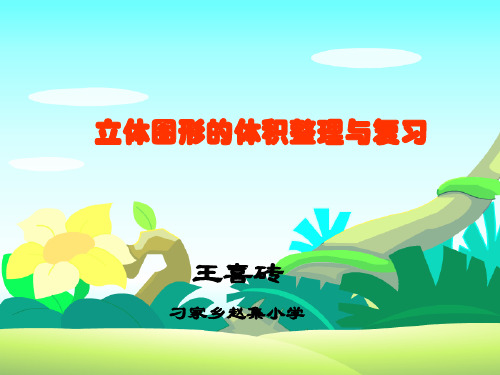 立体图形的体积整理和复习