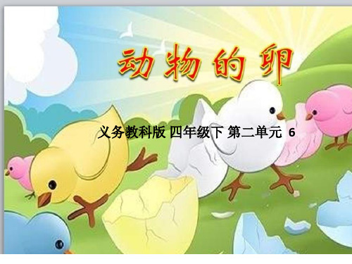四年级下 动物的卵教科版实用PPT (共22张PPT)