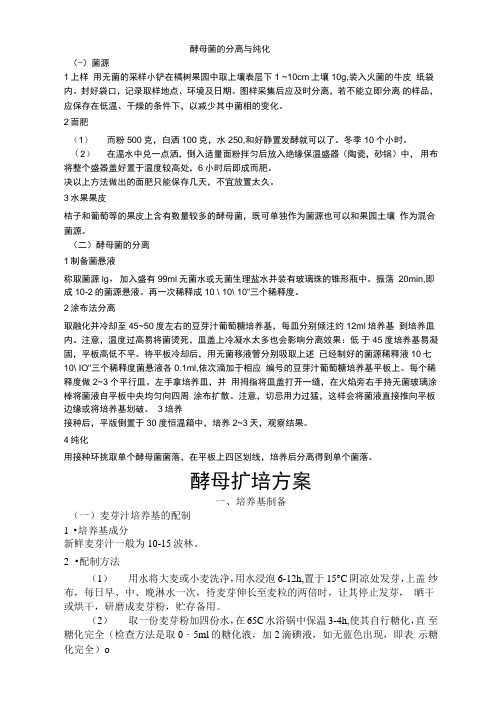 酵母菌的分离与纯化