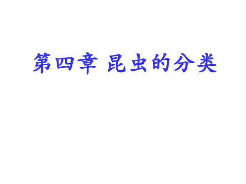 第四章 昆虫分类学
