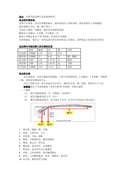 虫害复习资料