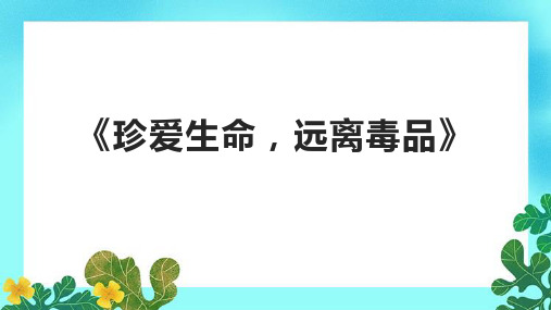 《珍爱生命,远离毒品》课件