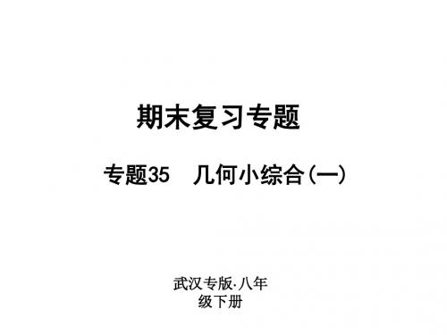 新人教版(湖北)八年级数学下册课件：期末复习专题 专题35 几何小综合(一)(共12张PPT)