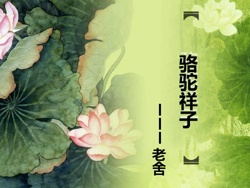 2019年中考复习语文名著阅读课件：《骆驼祥子》(共17张PPT)