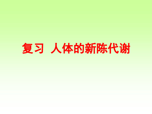 中考生物专题四生物圈中的人新陈代谢