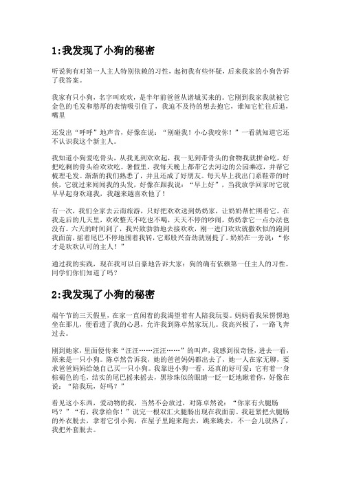 我发现了小狗的秘密
