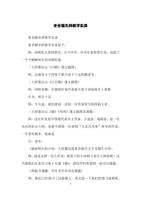 老舍猫名师教学实录