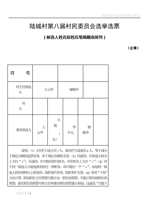 村委会选举选票