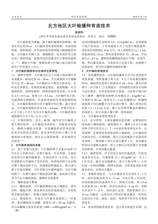 北方地区大叶榆播种育苗技术