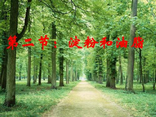 淀粉和油脂