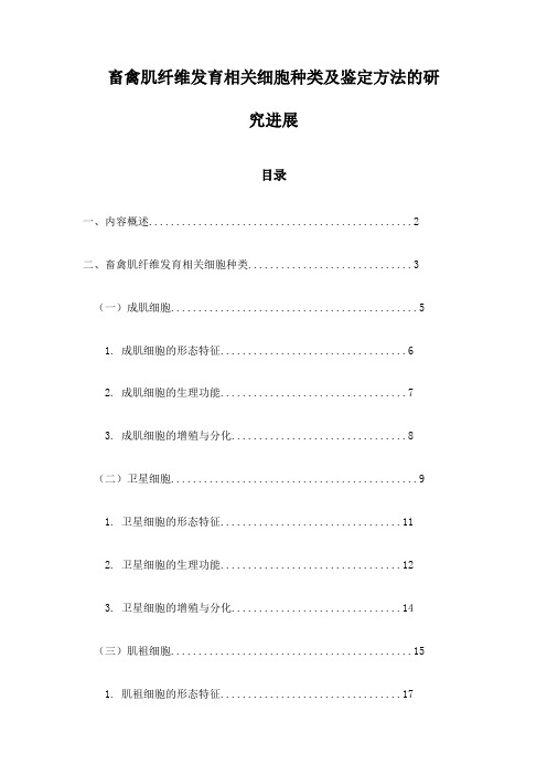 畜禽肌纤维发育相关细胞种类及鉴定方法的研究进展