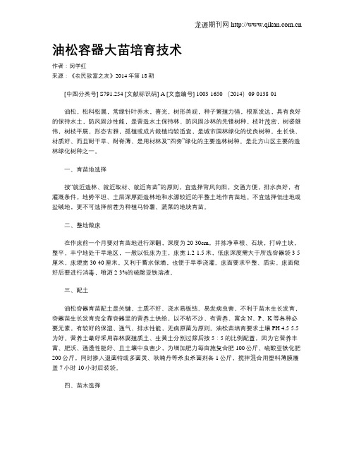 油松容器大苗培育技术