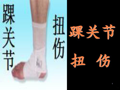 踝关节扭伤推拿治疗ppt课件