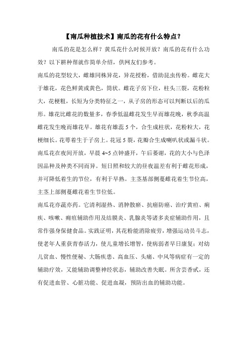 【南瓜种植技术】南瓜的花有什么特点？