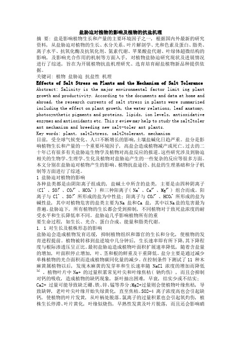 盐胁迫对植物影响及植物抗盐机理
