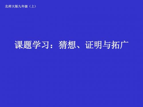 课题学习：猜想、证明与拓广