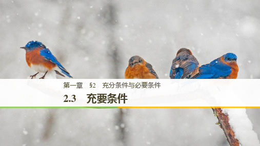 北师大版数学高二课件 1.2.3充要条件