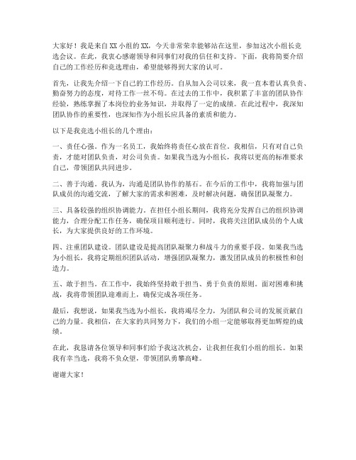 小组长竞选会议领导发言稿