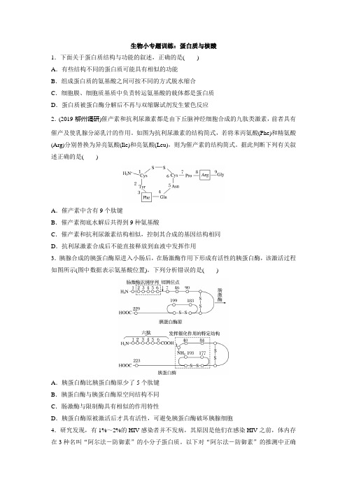 生物小专题训练：蛋白质与核酸