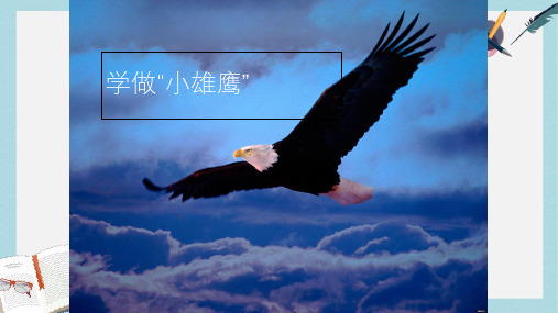 人教版二年级上册道德与法制学做小雄鹰课件ppt课件