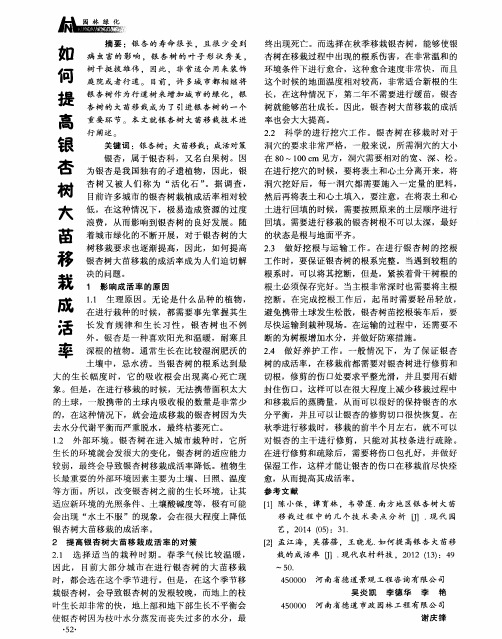 如何提高银杏树大苗移栽成活率