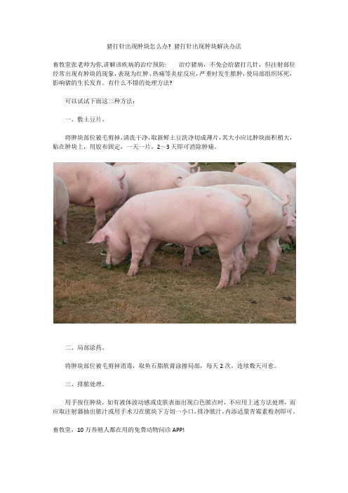 猪打针出现肿块怎么办？猪打针出现肿块解决办法