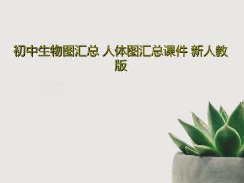 初中生物图汇总 人体图汇总课件 新人教版PPT104页