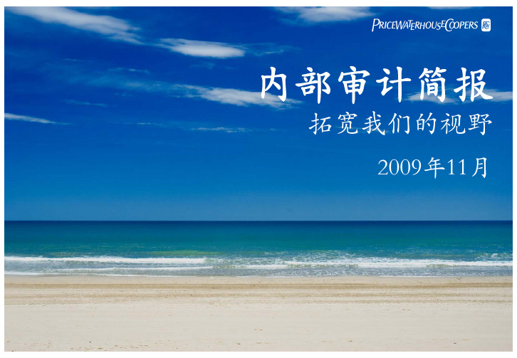 内审简报