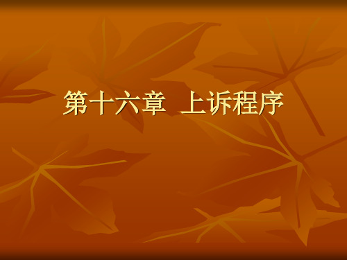 第十六章  上诉程序