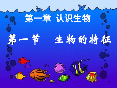 第一章认识生物第一节生物的特征(用)幻灯片精品PPT课件