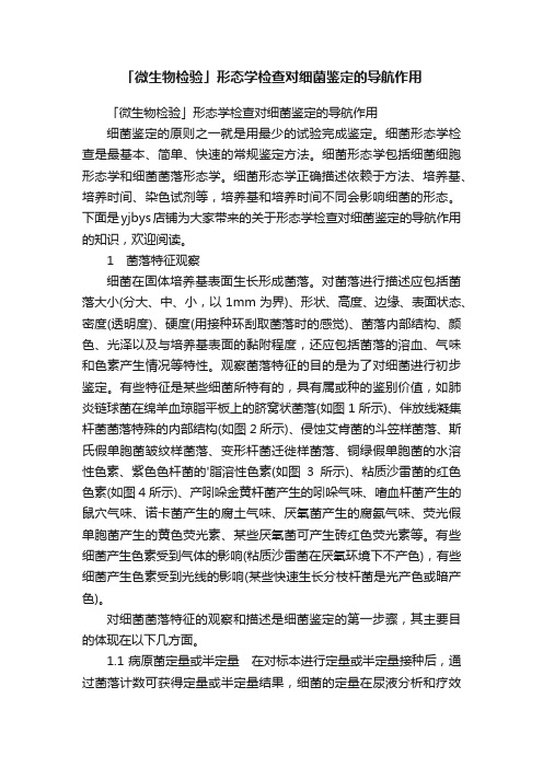 「微生物检验」形态学检查对细菌鉴定的导航作用