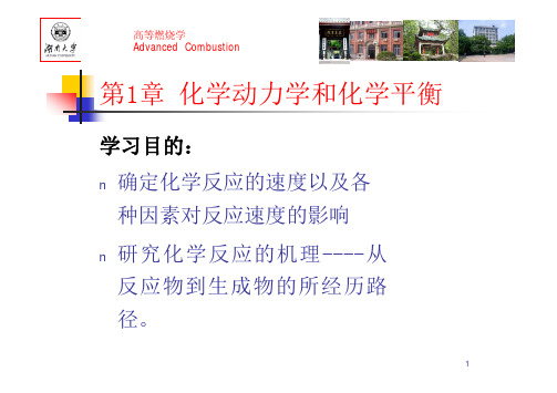 高等燃烧学(第1章化学动力学和化学平衡)