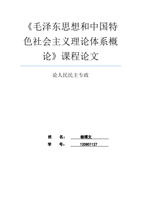 毛概论文：论人民民主专政