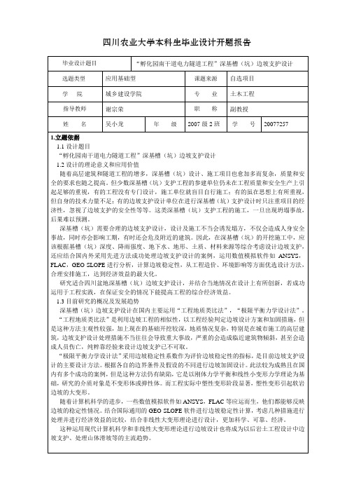 开题报告2003打印