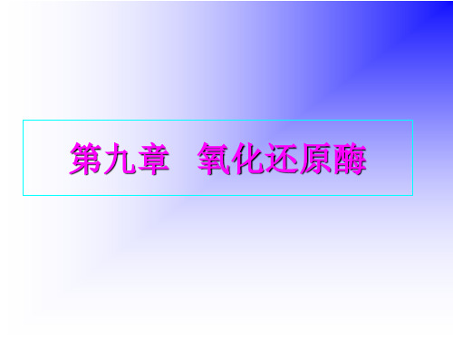 2011食品酶学-8-1