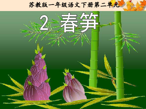 新版一年级下册《-2春笋》课件-PPT精品文档29页